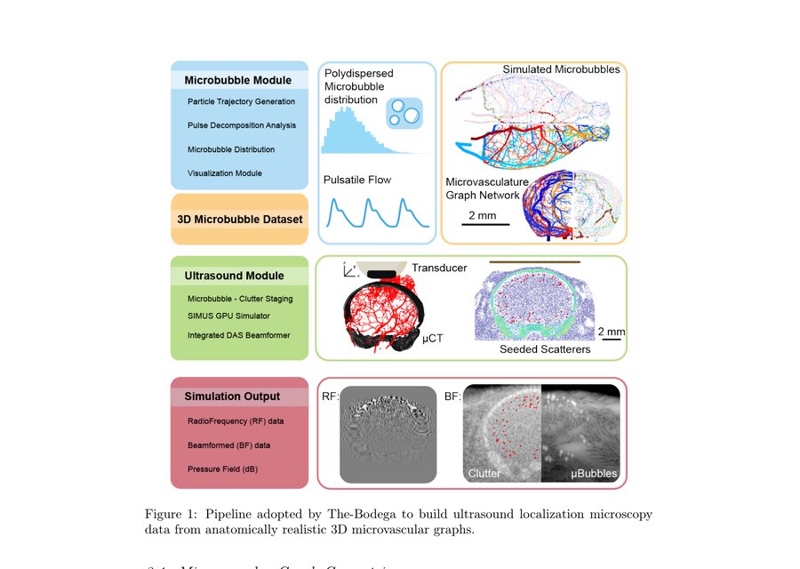 New preprint: The-Bodega — A Matlab Toolbox for Biologically Dynamic Microbubble Simulations on Realistic Hemodynamic Microvascular Graphs