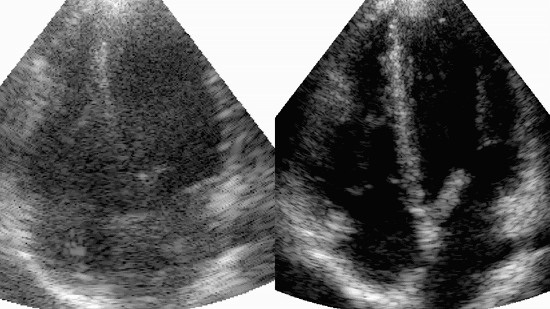 Clinical imaging