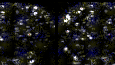 Particle tracking