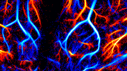 Transcranial imaging