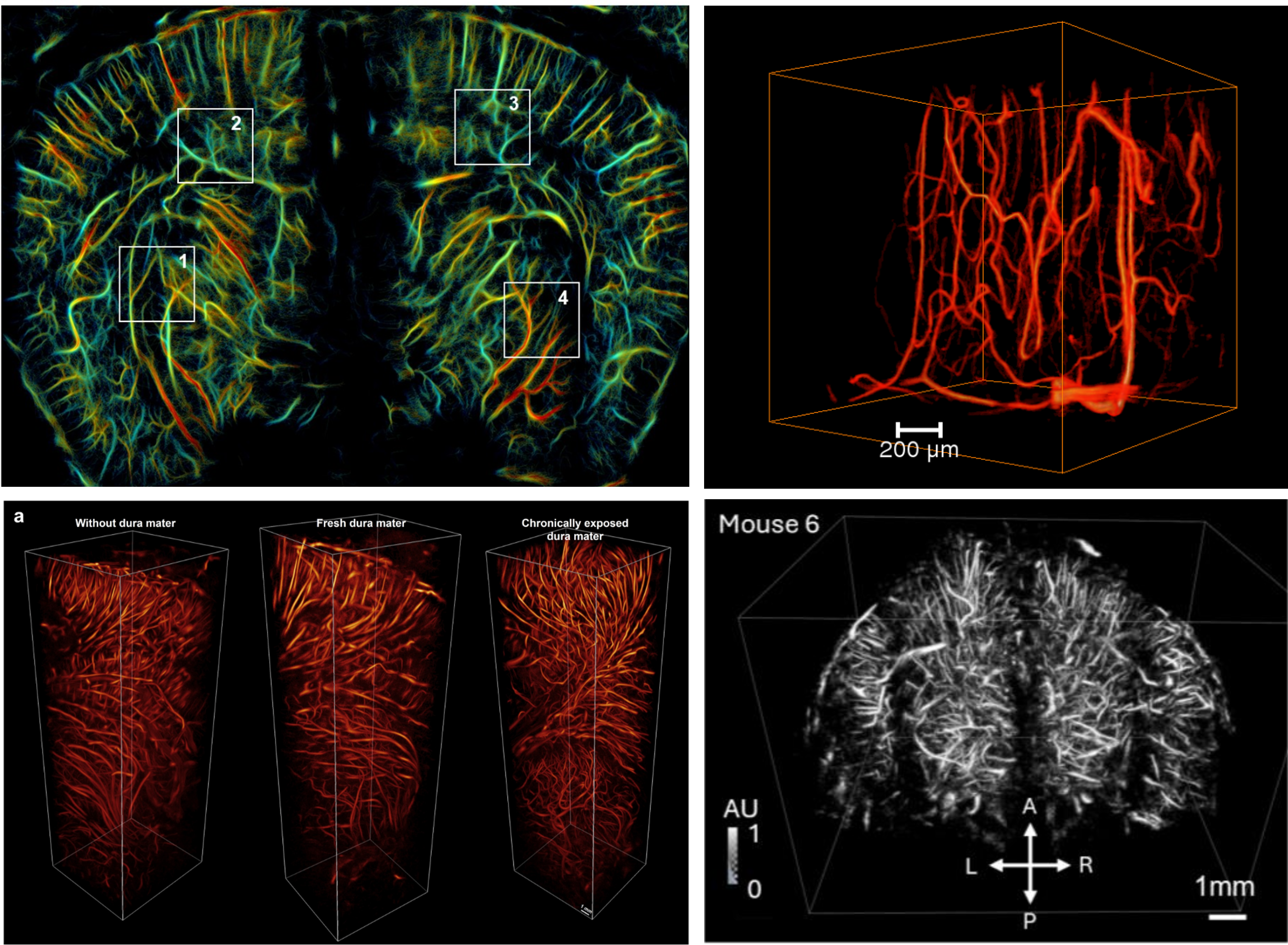 De nouveaux articles disponibles sur arXiv